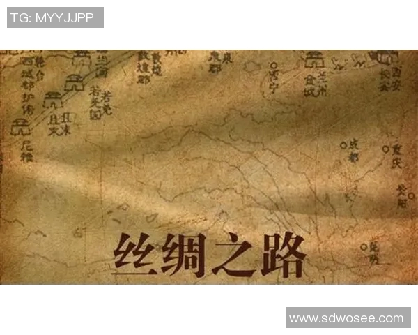 代怀博：探索现代科技与传统文化的交融之路