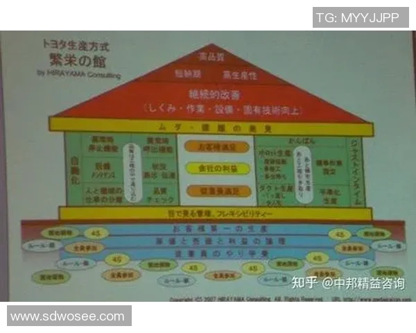 代怀博的成长之路与未来发展展望：从初创到行业领军者的蜕变之旅